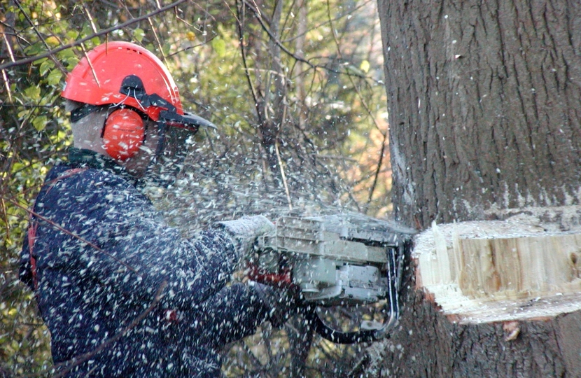 a man is cutting down a tree